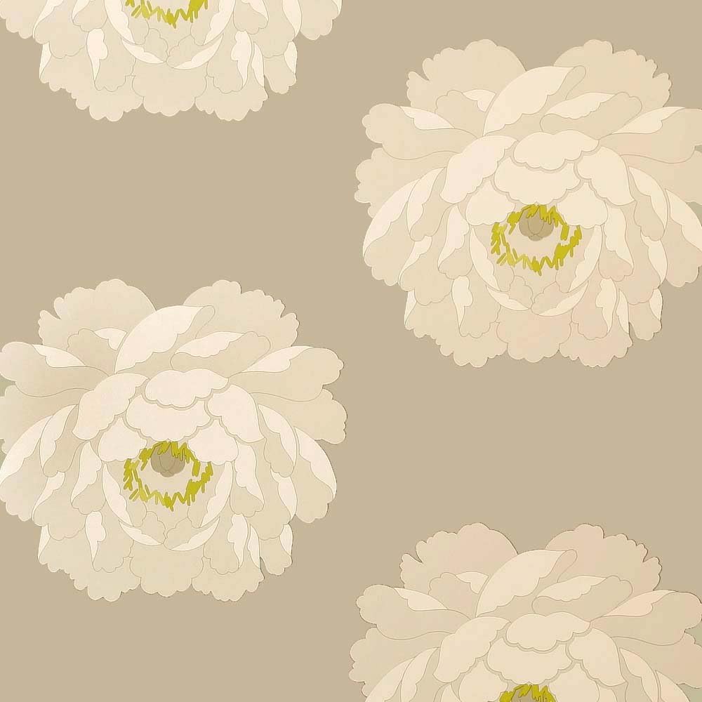 Sanderson Wallpaper Roll in Beige with Floral Amari Design Made from Paper - Size 10.05m x 0.52cm