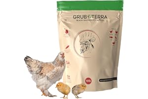 GrubTerra Golden Dried Black Soldier Fly Larvae - Premium Supplement to Increase Egg Production for Hen Treats, Bird Feed, Chicken Feeder, Pet Bird Food, and Wildbird Feed, Never from China! (10lb)