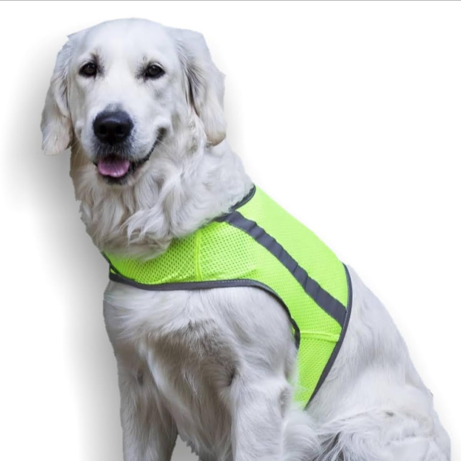 FinNero ATTE Reflective Dog Safety Vest, High Visibility, Lightweight & Breathable Hi-Vis Vest with Adjustable Velcro Straps for Outdoor Walks - 2XL, Yellow