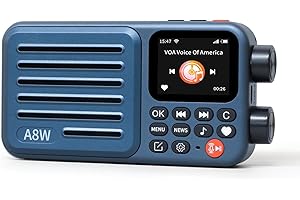 Choyong A8W Internet Radio, Portable Smart WIFI/4G Radio FM Receiver with 4K+ Pre-stored Stations, Voice Search, Rechargeable 2000mAh Battery, Alarm Clock, Micro SD Card