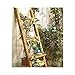 Haussmann® Teak Towel Ladder 18 x 64 in H Adj Shelf Teak Oil