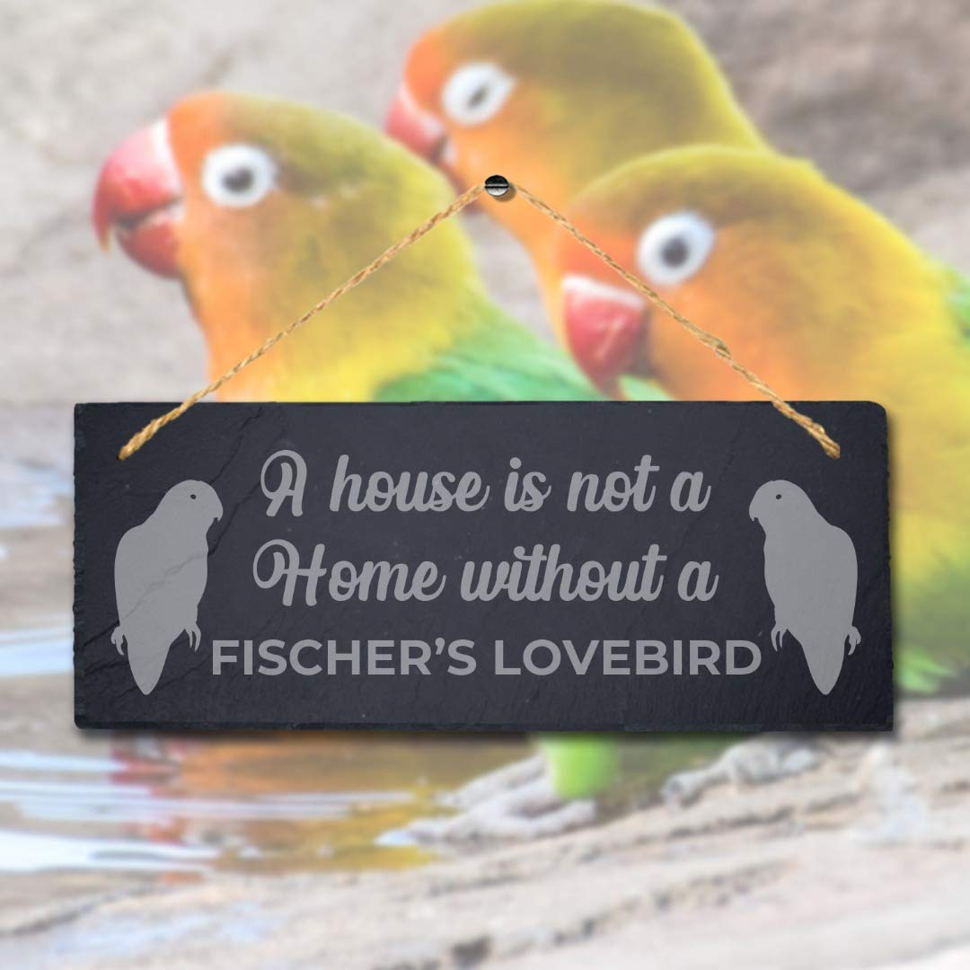 Stukk House Not Home Without Fischer's Lovebird Laser Hanging Bird Sign, Natural Engraved Slate Stone Plaque, 30x12cm