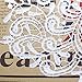 Smiry 2pcs Off-White Lace Trim Embroidered Lace Collar Neckline Venise Applique Sewing Clothing Accessories DIY Lace Applique