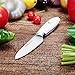 Godmorn Paring Knife Fruit Knife 3.5 Inch Forged Peeling Knife - German Stainless Steel Blade + Straight Edge + Spear Point, White Handle, Paring Fruit Vegetable Skin Peeling Slicing Cutting …