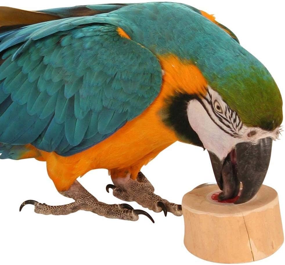 Fruit Cups Java Wood Holder