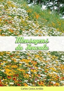 Livro Mensagens da Senzala