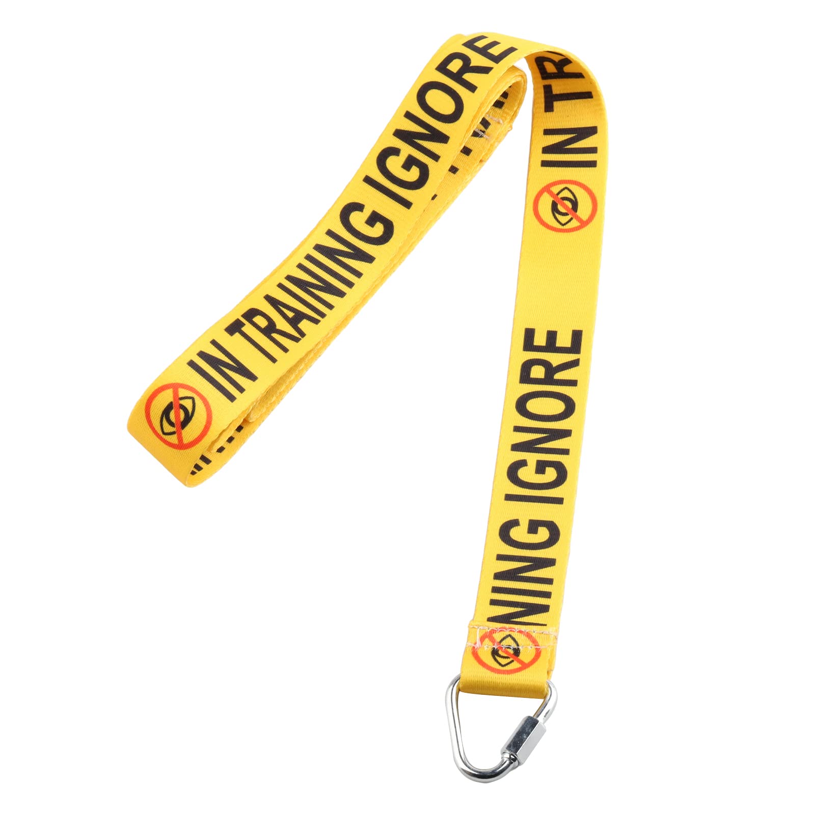 CENWA In Training Ignore Lead for Dogs, 150cm, In Training Ignore Lead Color, Dog Leash
