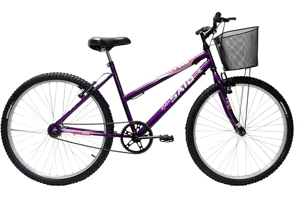 Bicicleta Aro 26 Feminina Mono Saidx Sem Marcha Com Cesta