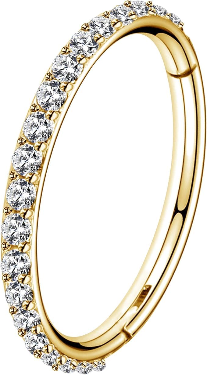 OUFER 18G 20G Nose Ring Hoops Hinged Seamless Segment Helix Piercings Nostril Clicker 316L Stainless Steel CZ Line Daith Tragus Cartilage Earring Jewellery