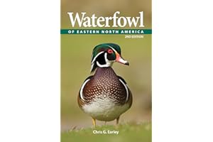 Waterfowl of Eastern North America