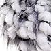 Queenfur Rabbit Fur Hat - Winter Fashion Knit Hats Women Real Fur Warm Skullies Beanie (Color1),One Size