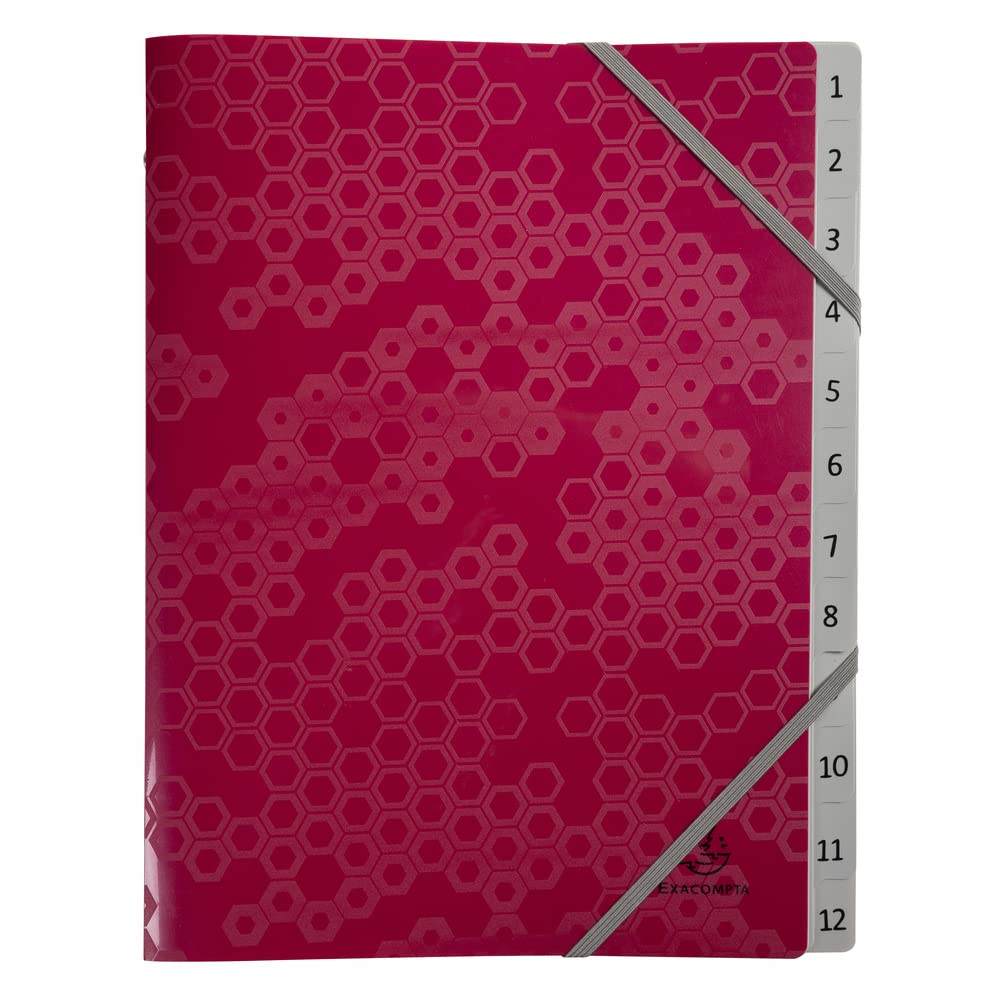Exacompta - Ref. 58310E - File folder with 3 Maïa flaps - elastic closure - in recycled polypropylene - 12 compartments - dimensions 25x32 cm - for A4 - random colours