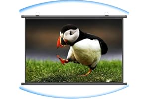 GRDBGNZBP 4K HD Manual Pull Down Projector Screen Home Theater Movie Screen, 4:3 16:9 Format, Easy Roll Up, Indoor Outdoor Pr