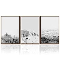 3 Piece Framed Canvas Wall Art Natural Landscape Canvas Prints Home Artwork Decoration for Living Room,Bedroom - 16