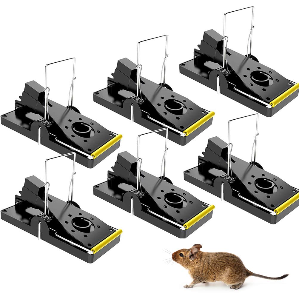 Mua KSWL Mouse Trap Set of 6 Easy Pest Extermination Traps Mice Traps