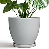 EPFamily Ceramic Pots for Plants - 8 Inch Planter, Indoor Plant Pot with Drainage Hole and Saucers, Modern Flower Planters, H