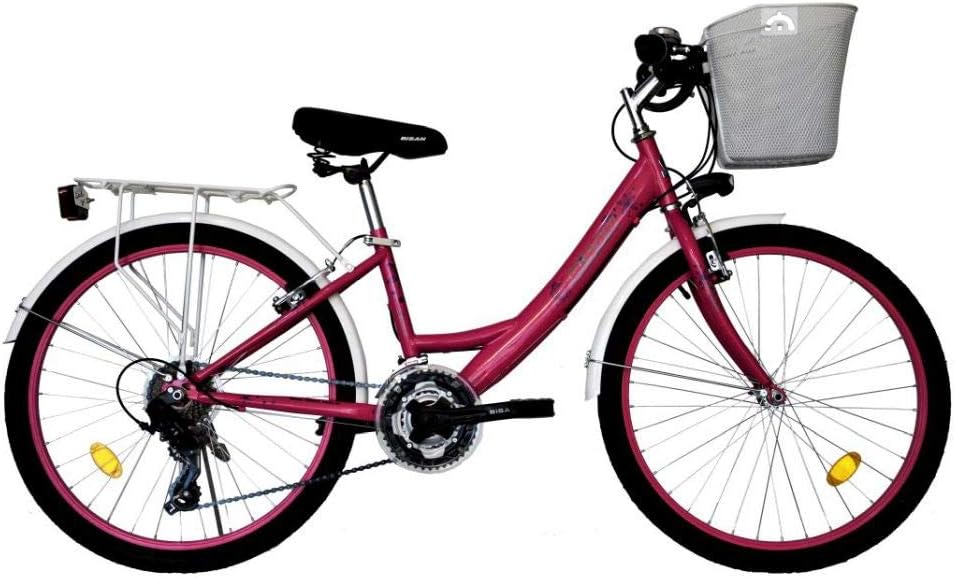 T 24 Zoll Kinder Mädchen Damen City Fahrrad Damenfahrrad Cityfahrrad