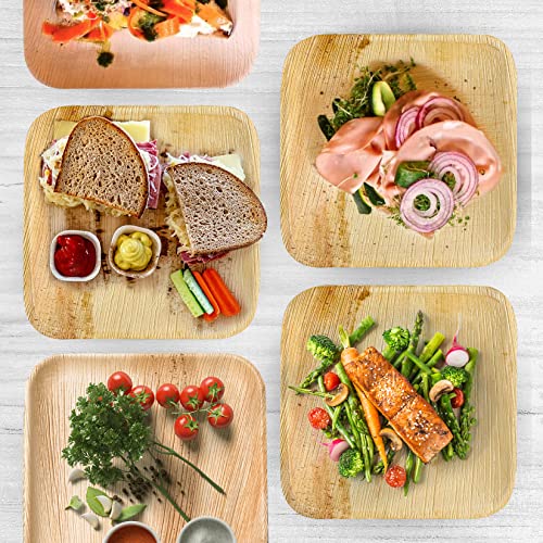 Raj Eco Compostable Palm Leaf Plates Like Bamboo Plates Disposable