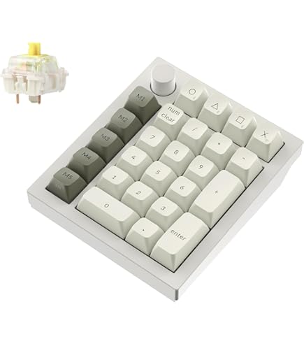 Amazon.com: Logitech NEW Wireless Number Pad N305 (Input