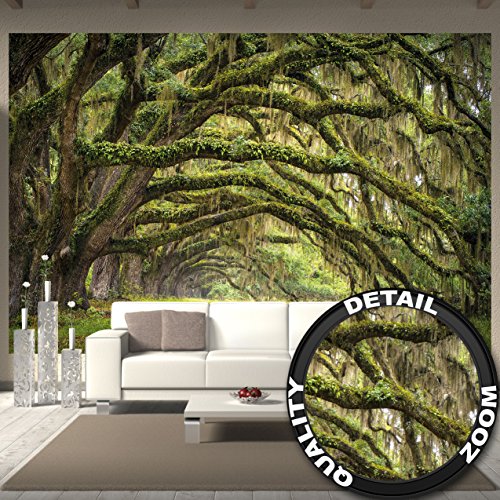 Wall Mural Nature Mural Summer Forest Mystic Oak Oaks Avenue Quercus Fairy Tale Forest Park Branches I paperhanging Wallpaper poster wall decor by GREAT ART (132.3 x 93.7 Inch/336 x 238 cm)