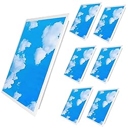 Superyofo 6Pack 2 * 2FT 4800LM LED Flat Panel