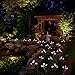 Doingart Outdoor Solar Garden Lights - 2 Pack Solar Powered Lights, Multi-Color Changing LED Solar Stake Lights for Garden, Patio, Backyard (Tulip and Morning Glory Flower)