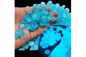 GENIUSCELLS Glow in The Dark Pebbles (1000 Pcs Glow Stones) Glow Rocks Blue Stones Decorative Luminous Pebbles for Garden Lawn Yard (1000pcs, Blue)