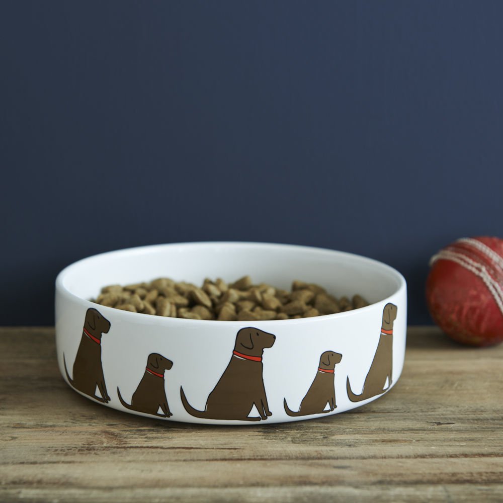 Sweet William Chocolate Labrador Dog Bowl