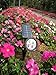 Hoont Bright Outdoor LED Solar Spotlight