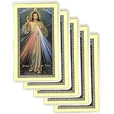 Amazing Saints The Chaplet of the Divine Mercy Laminated Holy Card Set of 5