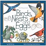 Birds, Nests & Eggs (Take Along Guides)