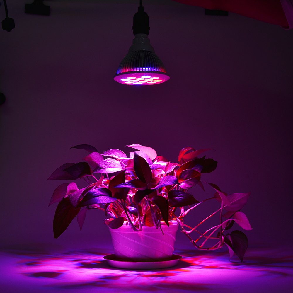 Led Grow Lights Bulb, Grow Lights for Indoor Plants, Grow Lamp for Hydroponics Greenhouse Organic, Plant Lights (E26 24w) …