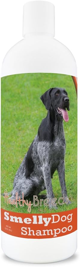 non stinky stuff for dogs amazon