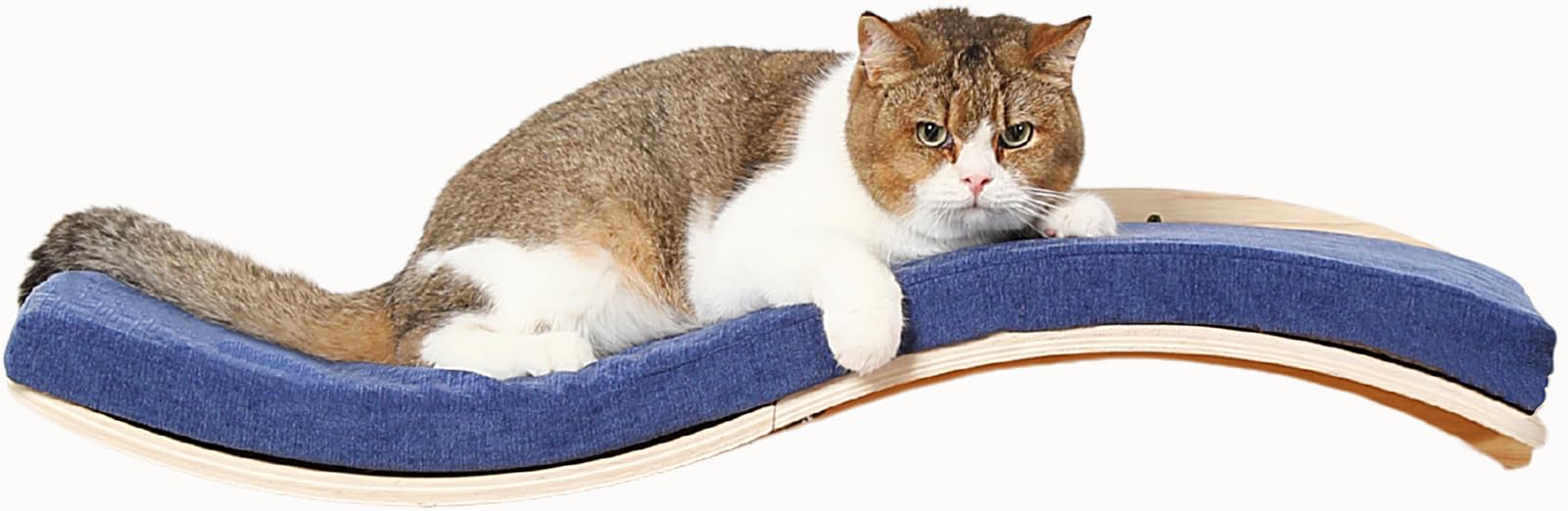 Photo 1 of Cat Wall Shelves for Large Cats - Wall Mounted Furniture with Comfortable Cushion, Perfect Perch and Bed for Multi-Cat Households - 35 inch Wavy Shelf for Climbing, Playing, Resting, and Lounging