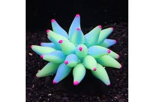 Bluecoco Soft Silica Gel Moves Naturally with Water Flow, Aquarium Decorations Glow in The Dark, Glowing Coral Ornaments for Fish Tank Decorations (Green, Winter Beauty)