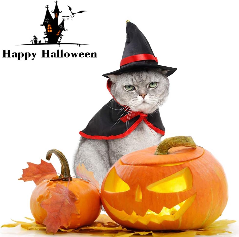 SACALA Cat Halloween Costume - Image 3