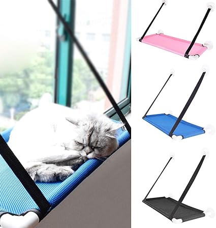 Fenetre De Lit De Chat Suspendus Lit De Chat Supporter Animaux De Compagnie Suspendus Lit 360