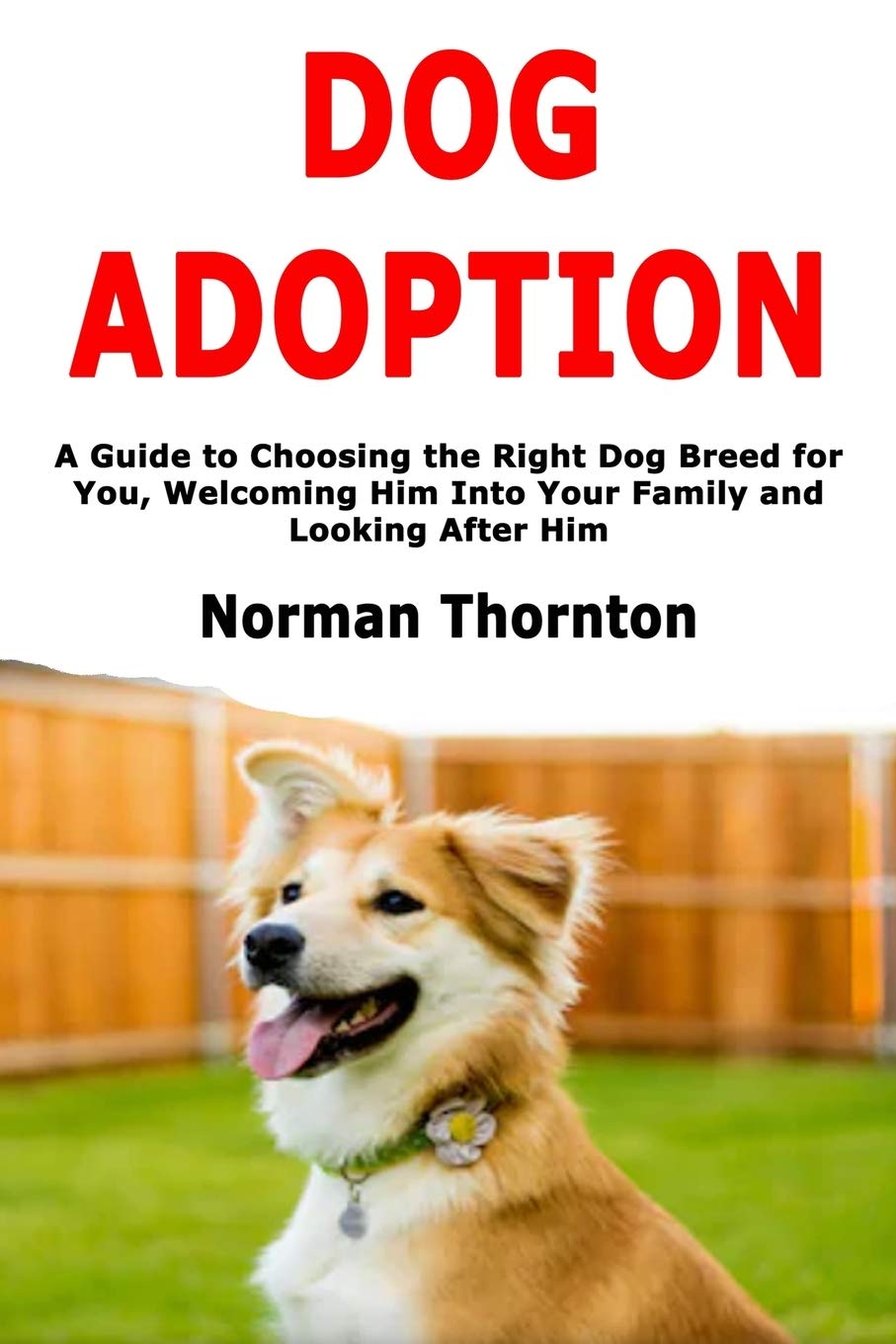 guide to adopting a dog