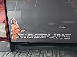 Generic 8 Funny Prank Stickers for Cars and Door