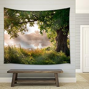 Oak Tree in Full Leaf in Summer Standing Alone - Fabric Wall Tapestry Home Decor - 51x60 inches