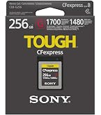Amazon.com: Sony CEA-G80T 80GB CFexpress Type A Memory Card