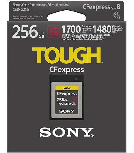 SONY CFexpress Type A 160GB メモリーカード Amazon | Sony CFexpress Type A 160GB メモリーカード (2パック