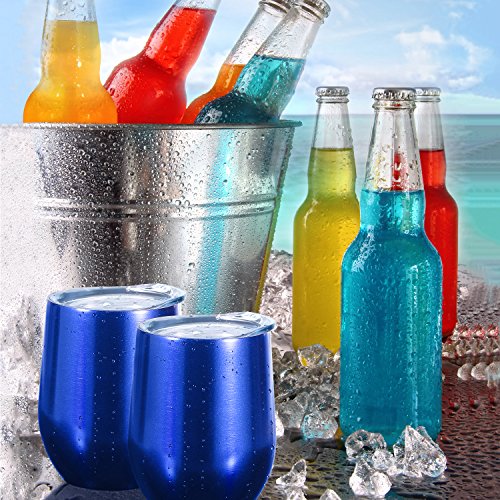 Skylety 12 oz Double-insulated Stemless Glass, Stainless Steel Tumbler Cup with Lids for Wine, Coffee, Drinks, Champagne, Cocktails, 2 Sets (Transparent Blue)