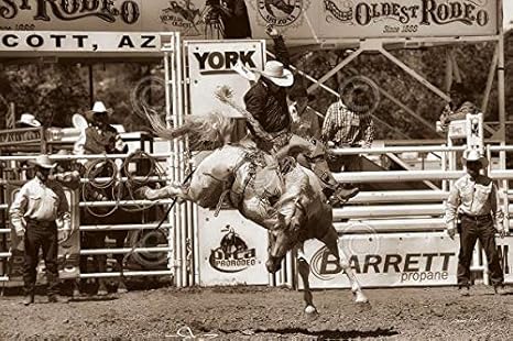 Amazon.com: 8 segundos Barry Hart caballo fotografía en ...