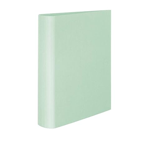 Rössler Papier 1316452655 - S.O.H.O. Ringbuch A4 4 Ring, 5 cm, mint