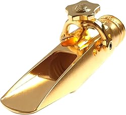 Theo Wanne SHIVA Gold-Plated Tenor Saxophone