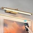 Kiloeye Picture Lights Battery Operated with Remote, Rechargeable Picture Lights for Wall Brightness Dimmable Sticker/Screw Installation, Art Light for Gallery, Artwork (Golden, 12‘’)