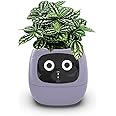 Itigoitie Smart Flowerpots,Smart Pet Planter,Ai Planter,Intelligent Flowerpots,Multiple Expressions,7 Smart Sensors, and Ai Chips Make Raising Plants Easy and Fun for Living Room,Plant-Free(Purple)