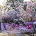 Garden & Decoration 2018 Broschürenkalender by