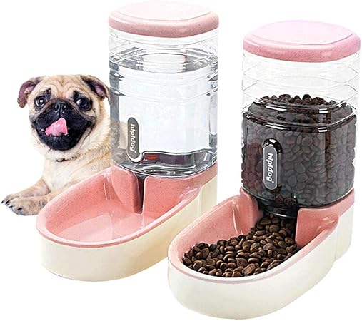 cat collar food bowl